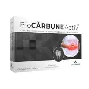 BioCARBUNE,
