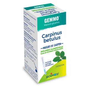 Carpinus