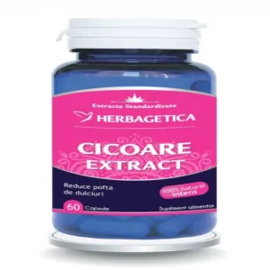 Cicoare