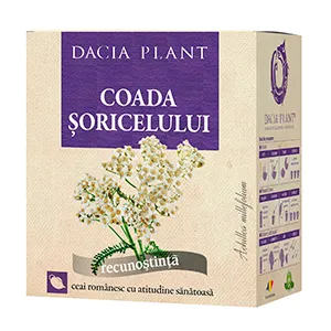 Coada