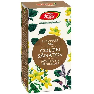 Colon