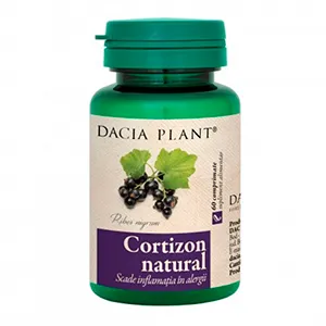 Cortizon