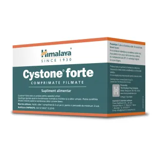 Cystone