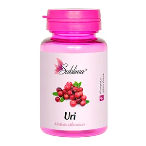 URI,