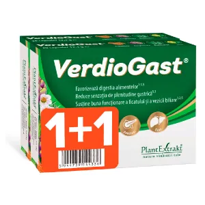 VerdioGast,